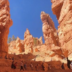 Meet your Posher, Priva